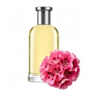 Apple & Woody Eau de Parfum, 100ml